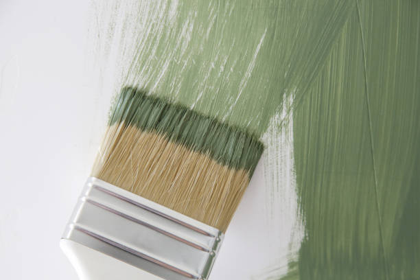 Best Mold Remediation for Healthcare Facilities  in Omao, HI