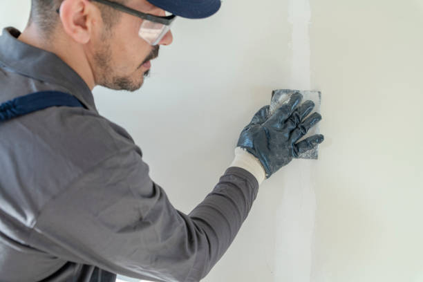 Mold Remediation for Rental Properties in Omao, HI