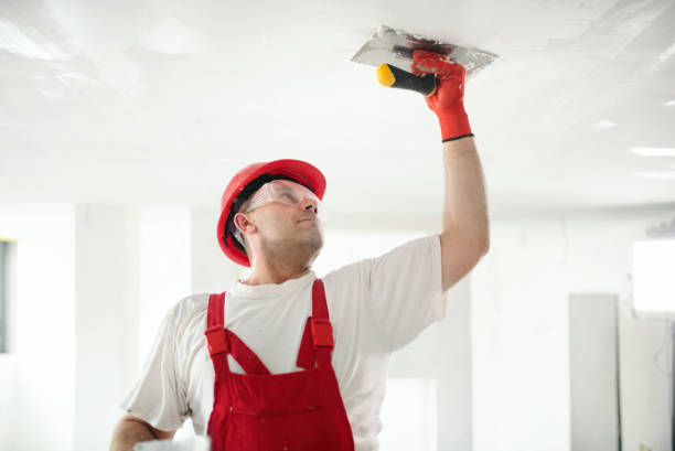 Best Mold Remediation for Healthcare Facilities  in Omao, HI