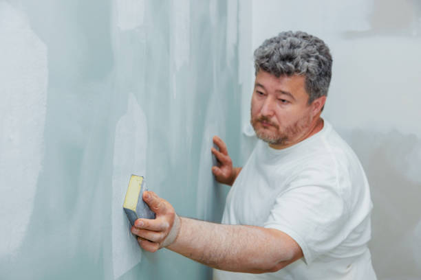 Best Mold Prevention Services  in Omao, HI