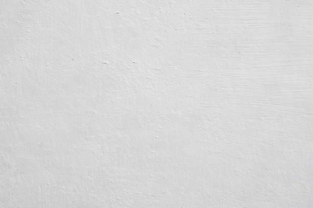Best Mold Remediation for Rental Properties  in Omao, HI
