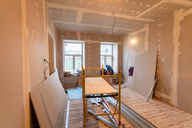 Best Crawl Space Mold Remediation  in Omao, HI