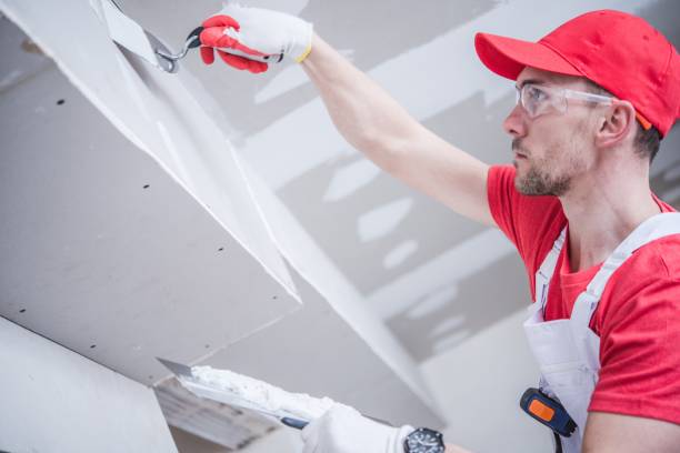 Best Real Estate Mold Inspection  in Omao, HI