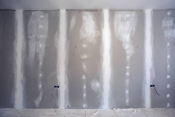 Best Basement Mold Removal  in Omao, HI
